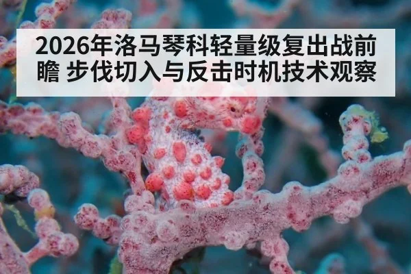 2026年洛马琴科轻量级复出战前瞻 步伐切入与反击时机技术观察